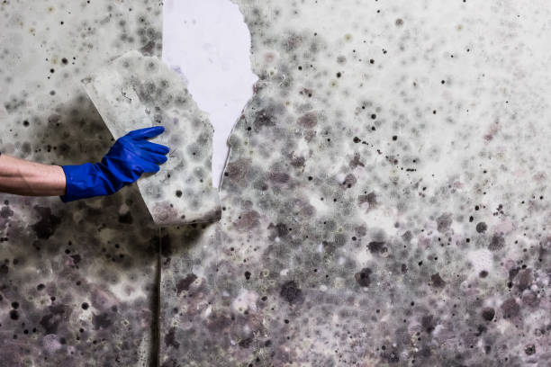 Water damage restoration process